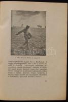 László Gyula: Forradalmak az újkori művészetben, Kolozsvár, 1945, Józsa Béla Atheneum, papírkötés, 2...