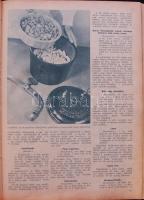 A Pesti Hírlap új szakácskönyve és 1001 jótanács a háziasszonyoknak. Bp. 1933. Légrády. 115p. Fűzve,...