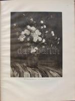 Új magyar képzőművészet III. Bp., 1953, Képzőművészeti Alap. Jó állapotú művészeti album kiadói félv...