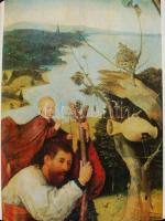 Wilhelm Fraenger: Hyeronimus Bosch. Bp., 1985. Corvina. 489 oldal. Hibátlan állapotban, védődobozzal
