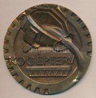 ~1986. "Kogépterv" 25 éves törzsgárda tagsági nagyalakú Br emlékplakett (120mm) dísztokban T:2