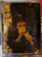 60db vegyes poszter mappában