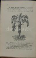 Dr. Bernátsky Jenő: A veteményes kert. (3. lényegesen bővített kiadás) Bp., é.n., Athenaeum. Kiadói ...