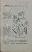 Dr. Bernátsky Jenő: A veteményes kert. (3. lényegesen bővített kiadás) Bp., é.n., Athenaeum. Kiadói ...