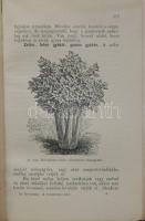 Dr. Bernátsky Jenő: A veteményes kert. (3. lényegesen bővített kiadás) Bp., é.n., Athenaeum. Kiadói ...