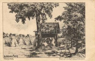 Pasing Gymnasiumskolonie