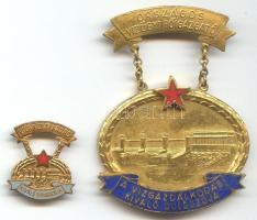 ~1955. "Országos Vízügyi Főigazgató / A Vízgazdálkodás Kiváló Dolgozója" kitüntetés kitűzővel dísztokban T:1-