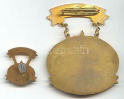 ~1955. "Országos Vízügyi Főigazgató / A Vízgazdálkodás Kiváló Dolgozója" kitüntetés kitűző...