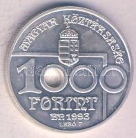 1993. 1000Ft Ag "Labdarúgó VB" T:BU