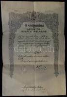 1916  Magyar Királyi Honvédelmi Minisztérium hadnagyi kinevezése szép állapotban