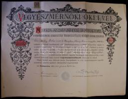 1924 Magyar Királyi József Műegyetem díszes vegyészmérnöki oklevele szárazpecséttel szép állapotban