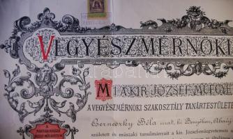 1924 Magyar Királyi József Műegyetem díszes vegyészmérnöki oklevele szárazpecséttel szép állapotban