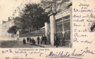 Vienna Liesing, Versorgungshaus (small tear)