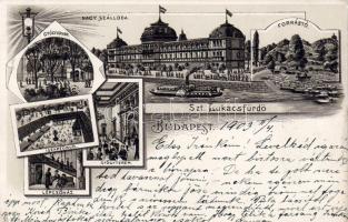 Budapest Lukács Bad Braun Litho