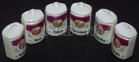 Karlsbad csehszlovák porcelán fűszertartó készlet, összesen 15 db,