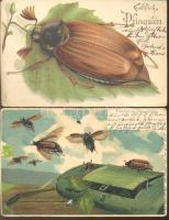 2 db régi motívumlap cserebogár, litho
