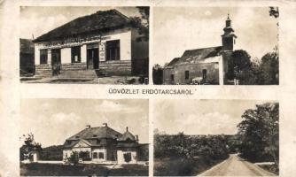 Erdőtarcsa Hangyával