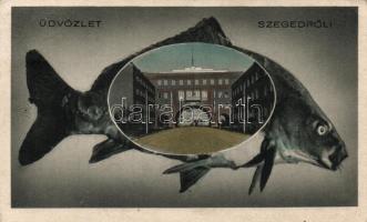 Szeged, hal