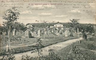 Gödöllő Magyar Királyi Méhészeti Gazdaság, Divald (fl)