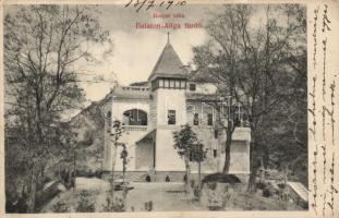 Balatonaliga Brayer villa (b)