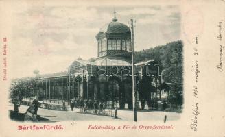 Bártfafürdő spa alley
