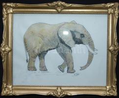 La Peau: Elefánt, vegyes technika, üvegezett keretben, 23x28cm