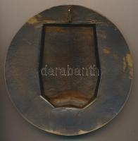 DN "Janus-arcú / Tekints vissza, de előre is!" nagyalakú Br emlékplakett (143mm) T:2