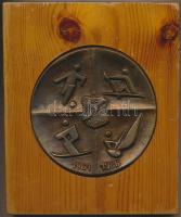 Varga István (1949-) 1986. "Vasas 1961-1986" nagyalakú öntött Br sport emlékplakett (100mm) fa talapzaton T:2