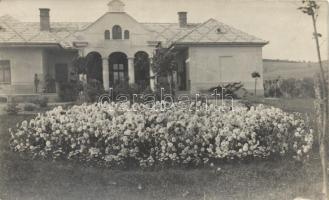 Szászludvég villa photo