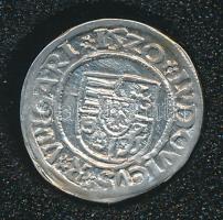 1520. Denár Ag "II. Lajos" (0.58) tanúsítvánnyal T:2
Huszár 841.,Unger I.: 673.n