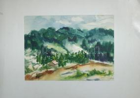 Szedlák Jánosné: Részlet a Hargitáról, akvarell, papír, jelzett,  32×42 cm