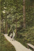 Körmöcbánya, Zólyomvölgy (EK)