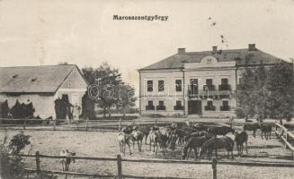 Marosszentgyörgy horse farm