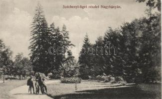 Nagybánya Széchenyi park