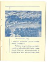 cca 1920 A hévizi IPOK iparos gyógytelep képes ismertető füzete 24p