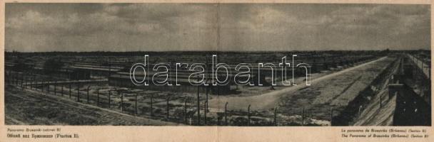 Brzezinki Auschwitz-Birkenau concentration camp panoramacard (fl)