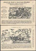 A Magyar Sors - bajtársi levelezés III. sz. (gazdaságtörténeti) sorozata. Szerk. Kuthy Ferenc. 22 darabos képeslapsorozat K. Nagy Sándor rajzaival