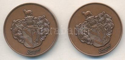 Fritz Mihály (1947-) DN "Szeged - Fogadalmi templom / Múzeum" Br emlékérem pár (42mm) T:1