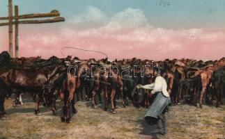 Hortobágy pányvavető csikós