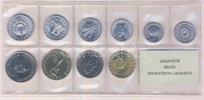 1988. 2f-20Ft 10db klf érmés forgalmi sor fóliatokban T:1