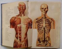 A család egészsége. Népszerű orvosi tájékoztató és tanácsadó. Szerk. Dr. Somogyi Béla. Szétnyitható ...