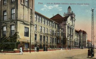 Pécs Tudományegyetem (fa)