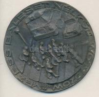 Rácz Edit (1936-) 1979. "Vezess Baleset Nélkül Mozgalom" Br emlékplakett (95mm) dísztokban T:2