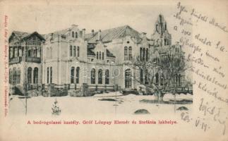 Bodrogolaszi kastély