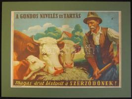 cca 1930-1950 Színházi plakát + meghívók, programok, színházi nyomtatványok, hangverseny belépők összesen kb 50 db