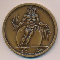 Borsos Miklós (1906-1990) 1980. "Fiziológiai Tudományok XXVIII. Nemzetközi Kongresszusa Budapes...