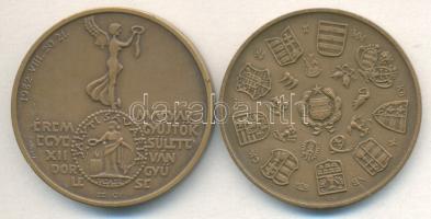 Csúcs Viktória (1934-) 1979. "Magyar Éremgyűjtők Egyesülete 1969-1979" Br emlékérem (42mm)...