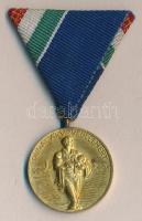 1956. "Dunai Árvízvédelemért Emlékérem" aranyozott Br kitüntetés szalaggal és adományozói okirattal T:2