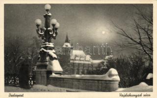 Budapest XIV. Vajdahunyad vára, télen