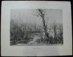 Allongé: Les Roseaux, kőnyomat, E. Bernard & Co. 36x46cm